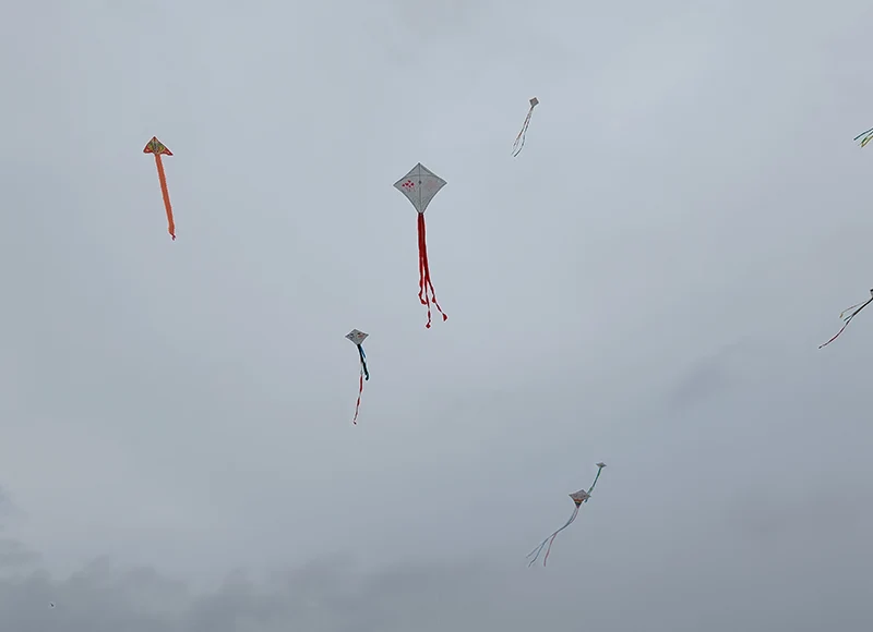 cerfs-volants Pass To FLy