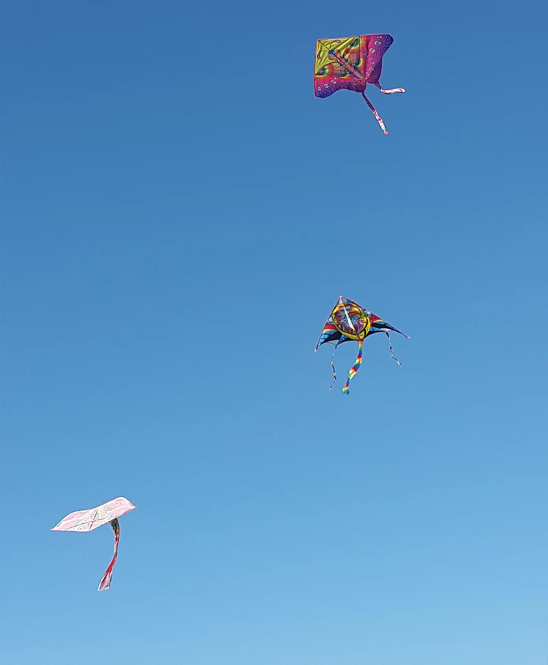 cerfs-volants Pass To FLy
