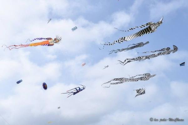 « Des kites survolent les quais »
