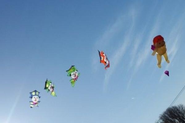 « Des kites survolent les quais »