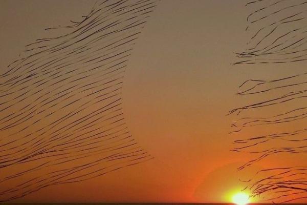 « Des kites survolent les quais »