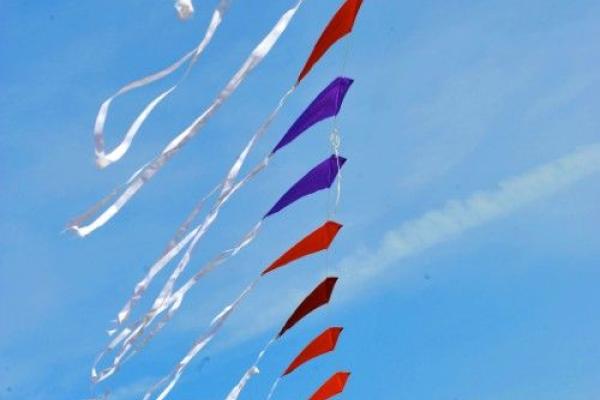 « Des kites survolent les quais »