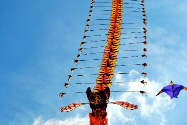 « Des kites survolent les quais »