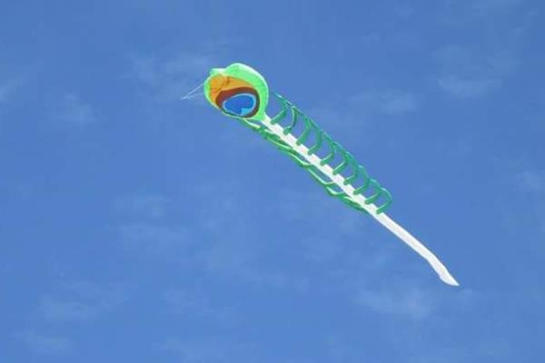 « Des kites survolent les quais »