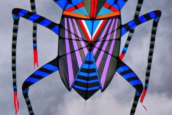 « Des kites survolent les quais »