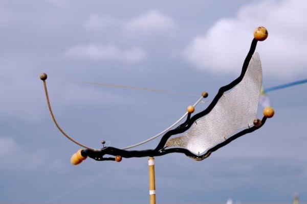 « Des kites survolent les quais »